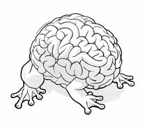 jumping-brain